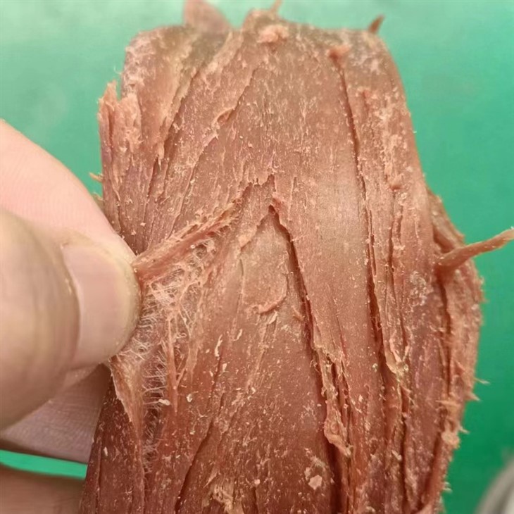 HMMA Soy Protein Production Line